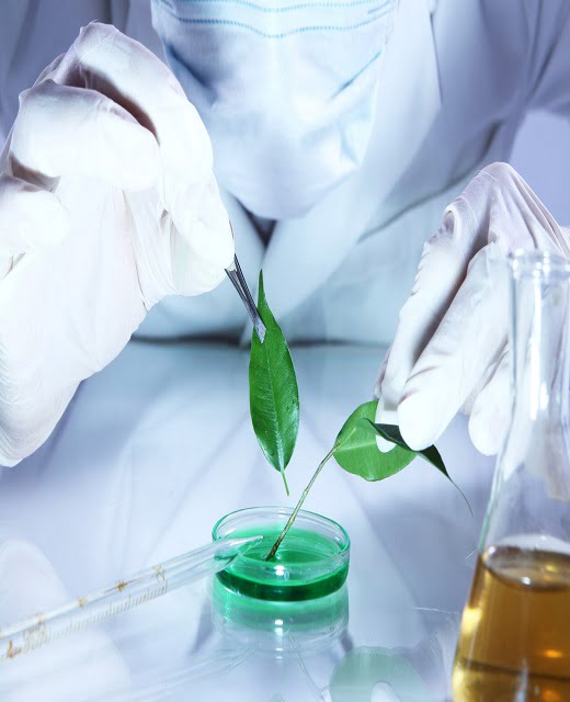 Quality Control and standardization of Herbals